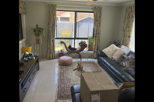 House sit in Brisbane, QLD, Australia