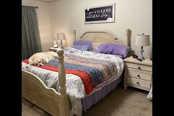 House sit in North Little Rock, AR, US