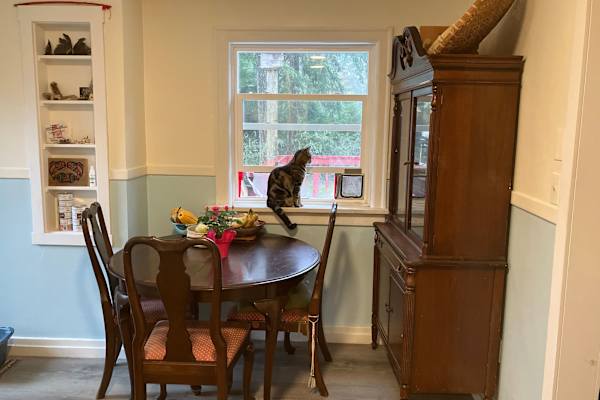 House sit in Ganges, BC, Canada