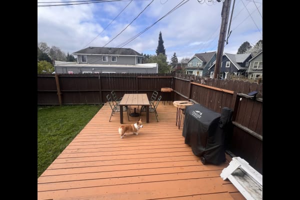 House sit in Tacoma, WA, US