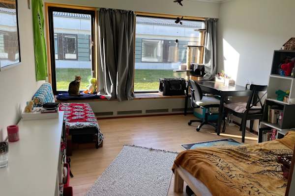 House sit in Albertslund, Denmark