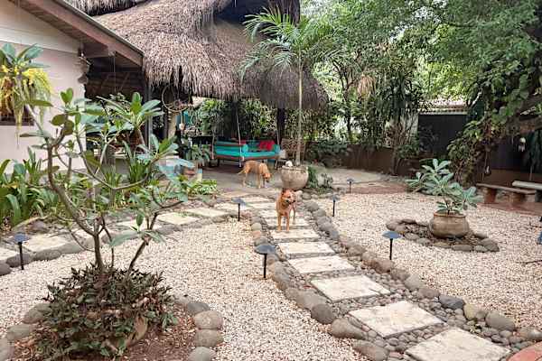 House sit in Coco, Sardinal, Costa Rica