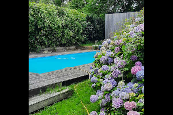 House sit in Bordeaux, France