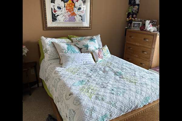 House sit in Shreveport, LA, US