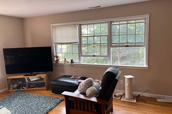 House sit in Harrison, NY, US