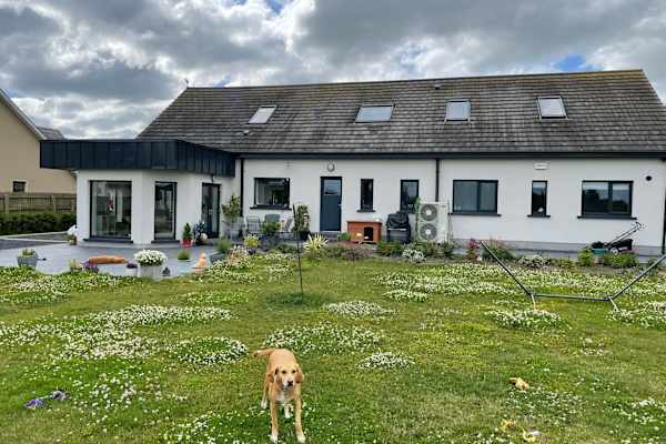 House sit in Kildare, Ireland