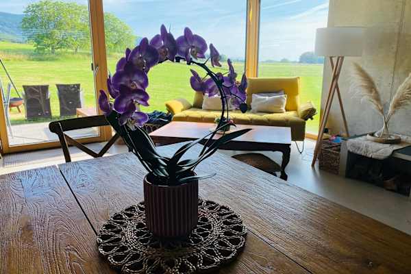 House sit in Gimel, Switzerland