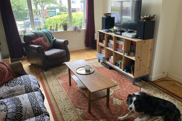 House sit in Navan, Ireland