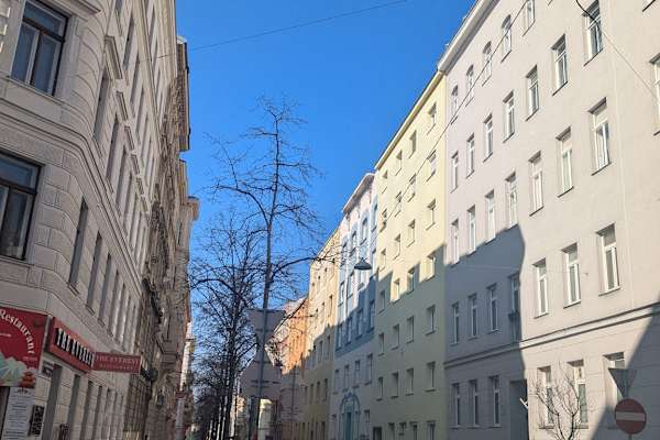 House sit in Vienna, Austria