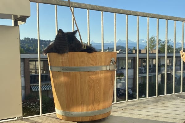 House sit in Bern, Switzerland