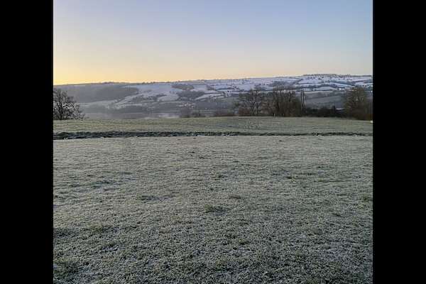 House sit in Blagdon, United Kingdom