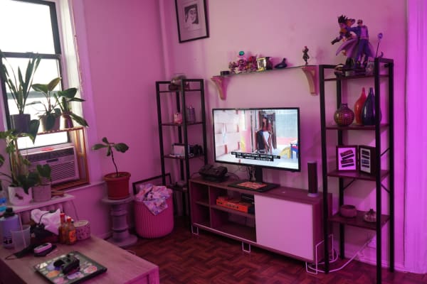 House sit in Brooklyn, NY, US