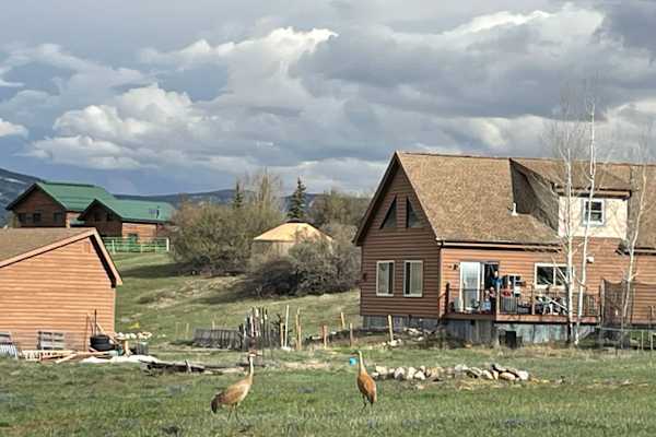 House sit in Steamboat Springs, CO, US