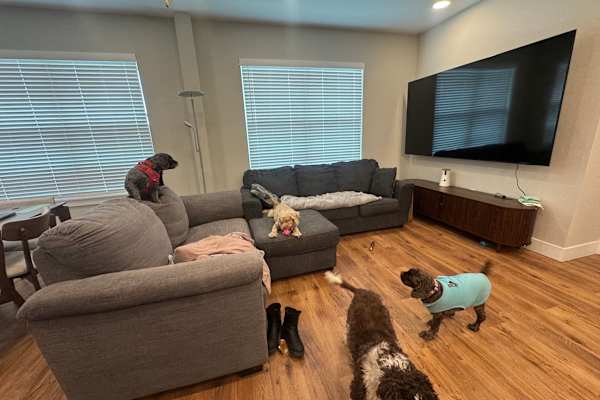 House sit in Broomfield, CO, US