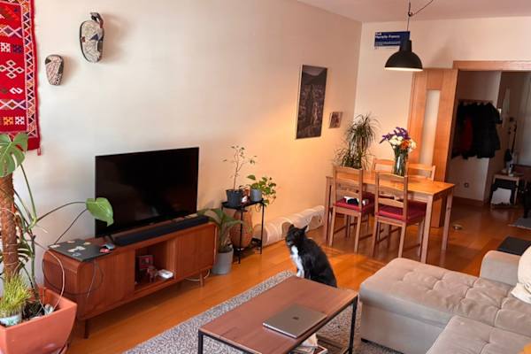 House sit in Porto, Portugal