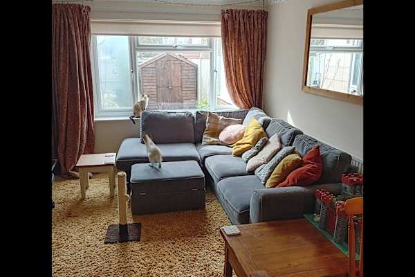 House sit in Folkestone, United Kingdom