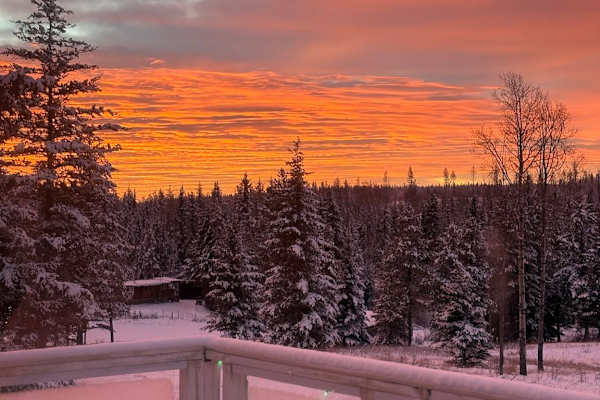 House sit in Williams Lake, BC, Canada