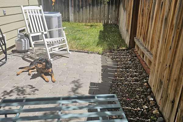 House sit in Reno, NV, US