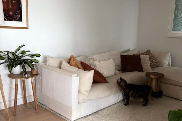 House sit in Sydney, NSW, Australia