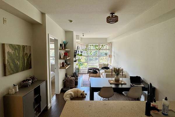 House sit in Squamish, BC, Canada