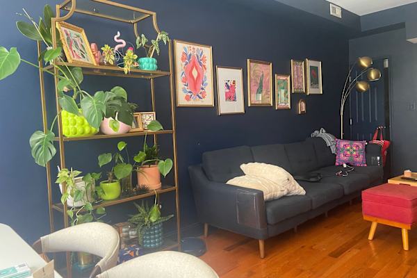 House sit in Philadelphia, PA, US