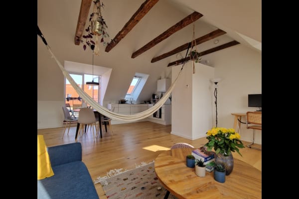 House sit in Copenhagen, Denmark
