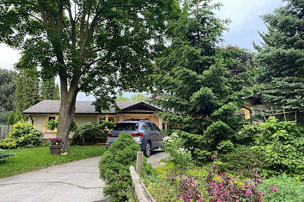 House sit in Mississauga, ON, Canada