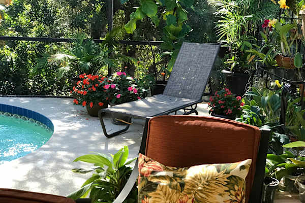 House sit in Venice, FL, US
