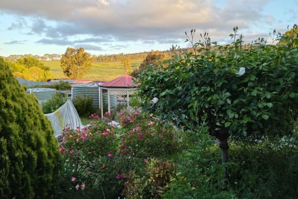 House sit in Charleston, SA, Australia