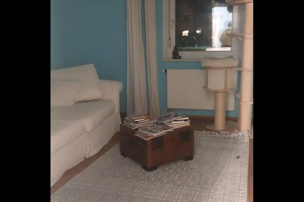 House sit in Munich, Germany