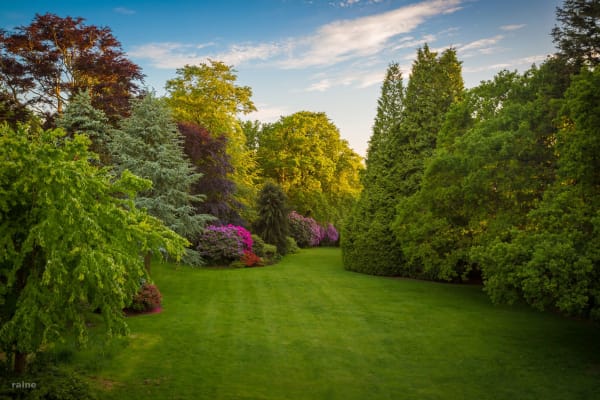 House sit in Hadlow Down, United Kingdom
