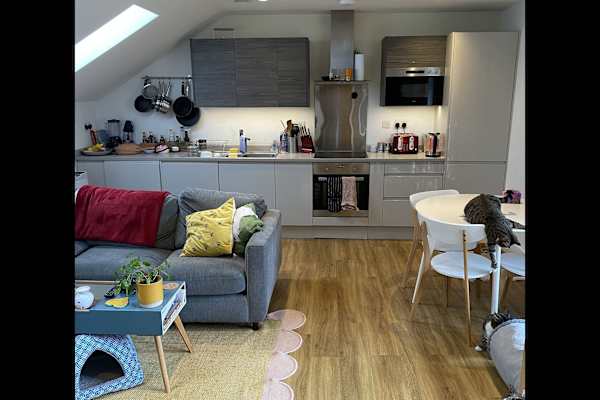 House sit in Hackney, United Kingdom