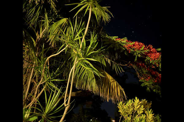 House sit in Ballina, NSW, Australia