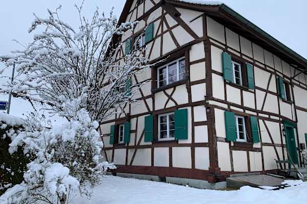 House sit in Basel, Switzerland