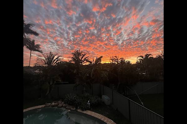 House sit in Capalaba, QLD, Australia
