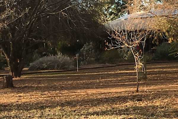 House sit in Dubbo, NSW, Australia