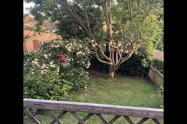House sit in Castle Cary, United Kingdom