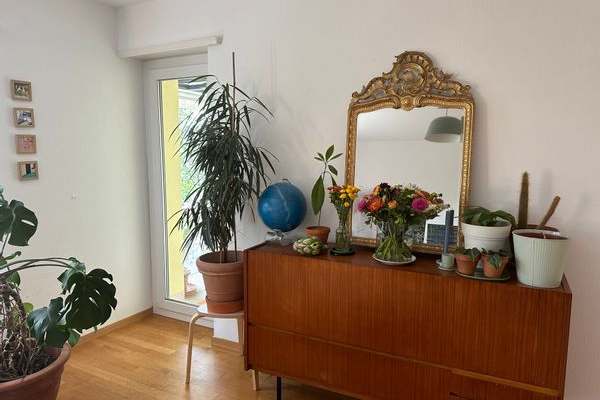 House sit in Zürich, Switzerland