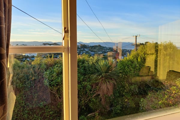 House sit in Wellington, New Zealand