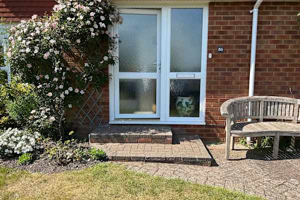 House sit in Farnham, United Kingdom