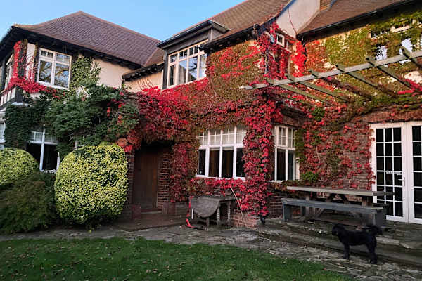 House sit in Hove, United Kingdom