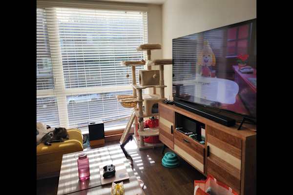 House sit in Seattle, WA, US