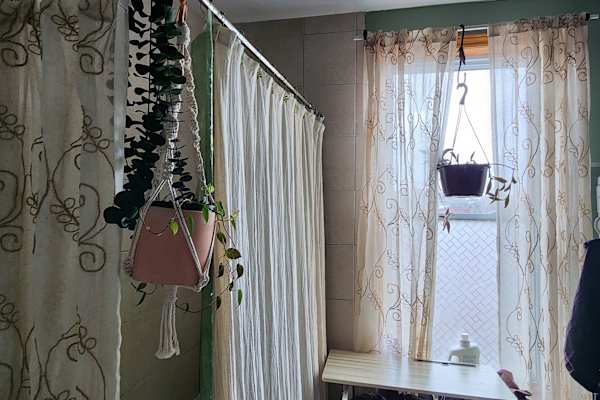 House sit in Montréal, QC, Canada