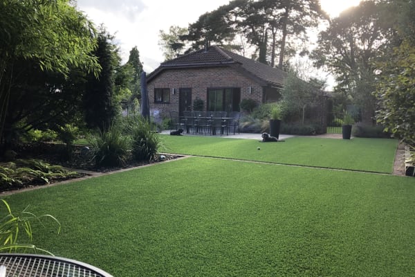 House sit in Liphook, United Kingdom