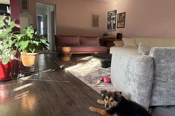 House sit in Los Angeles, CA, US