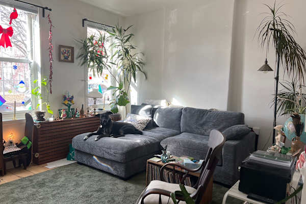 House sit in Philadelphia, PA, US