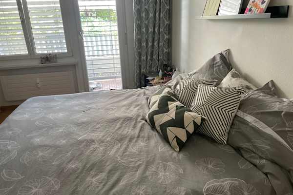 House sit in Zürich, Switzerland