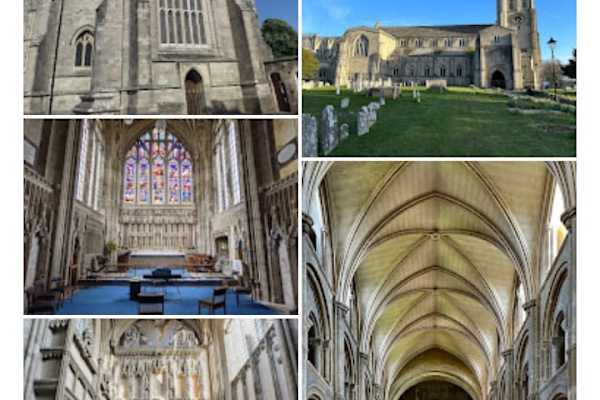 House sit in Christchurch, United Kingdom