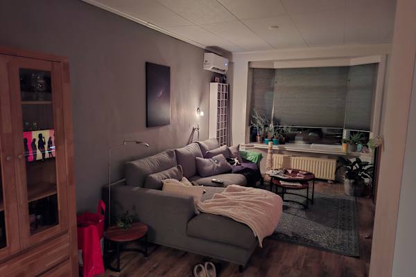 House sit in Dordrecht, Netherlands