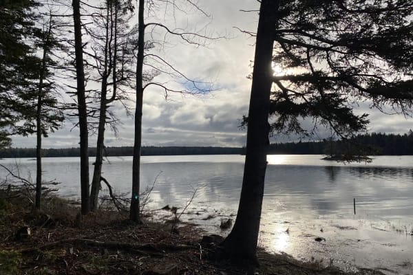 House sit in Ellsworth, ME, US
